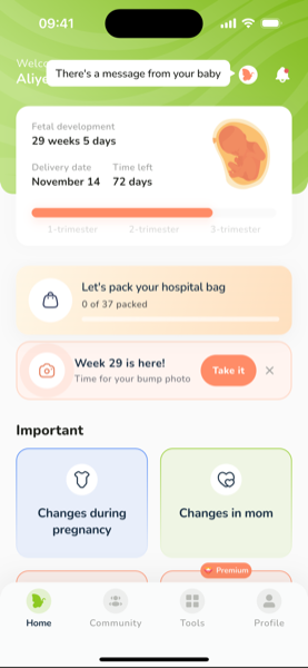 Pregnancy home screen