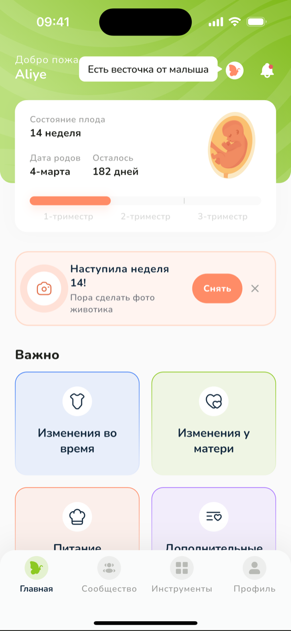 Главный экран беременности